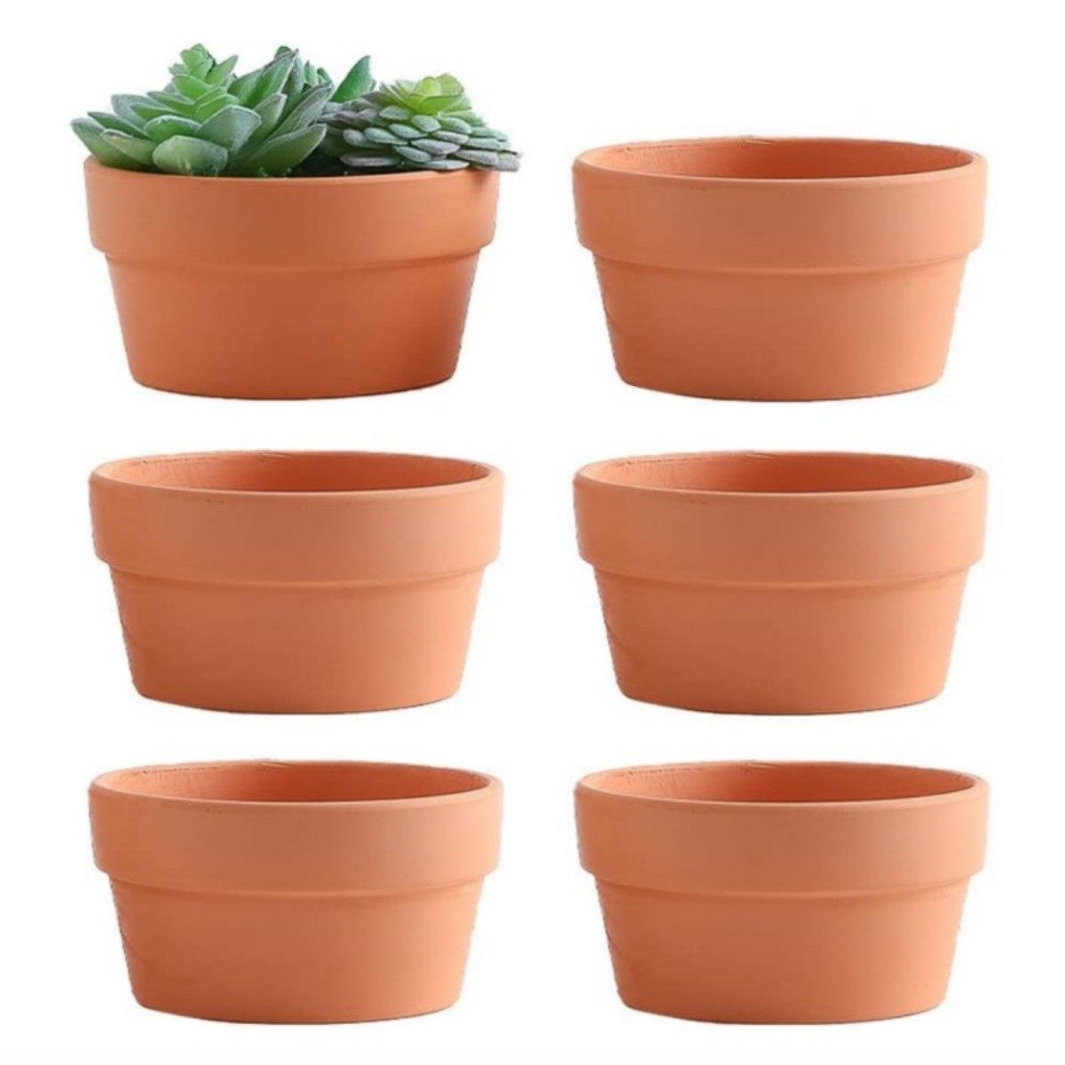 Aloe Vera Pot - 6 PCS Terracotta Buld Pots 3.5