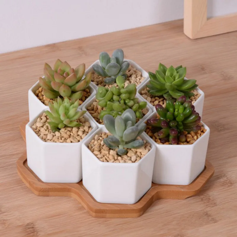 Aloe Vera Pot - Set of 4/7/9/10 Hexagon Flowerpots White