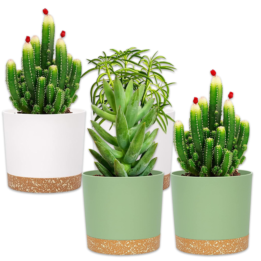Aloe Vera Pot - Plant Pot, 2 Pack Planters for