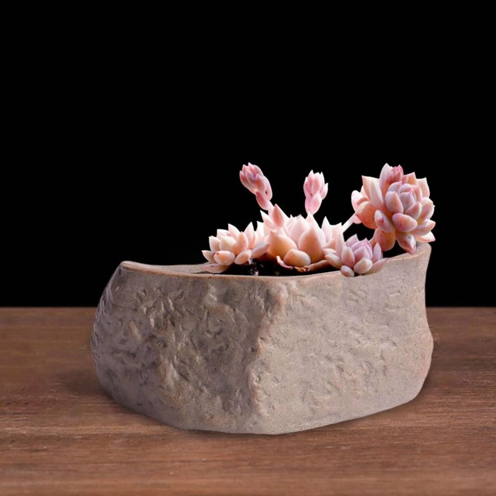 Ceramic Succulent Plant Pots S - Aloe Vera Pot recension och pris