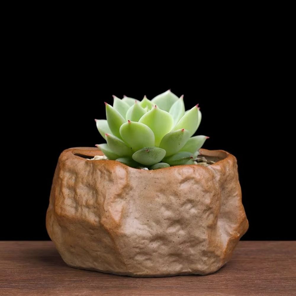 Ceramic Succulent Plant Pots S - Aloe Vera Pot recension och pris