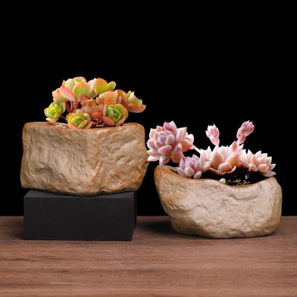 Ceramic Succulent Plant Pots S - Aloe Vera Pot recension och pris