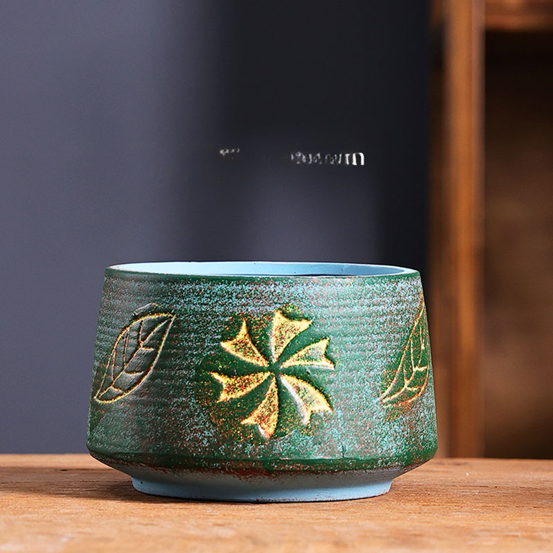 Mediterranean Succulent Flower - Aloe Vera Pot recension och pris