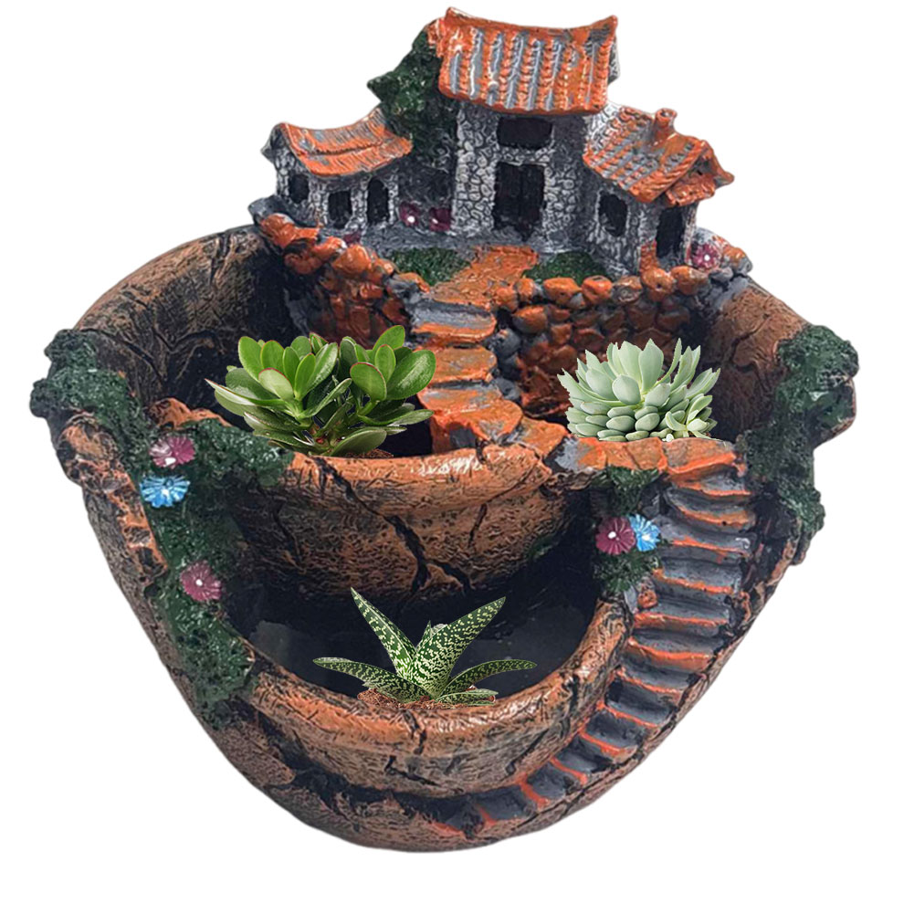 Succulent Pot Vintage Multi Po - Echeveria Succulent recension och pris