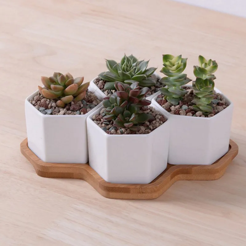 Set of 4/7/9/10 Hexagon Flower - Aloe Vera Pot recension och pris